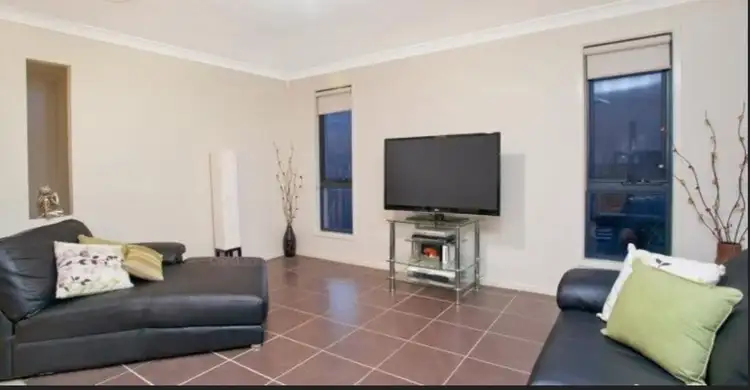 Second view of Homely house listing, 74 Tree Top Cct, Quakers Hill NSW 2763