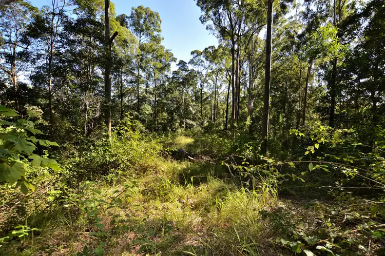 Third view of Homely land listing, 288 Mossybank Rd, Eudlo QLD 4554