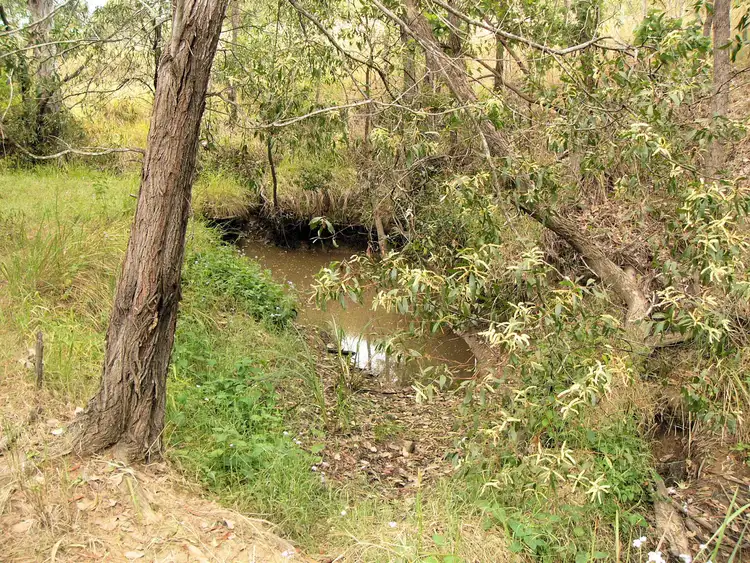 Seventh view of Homely rural property listing, Lot 18 Flindersia Rd, Tiaro QLD 4650