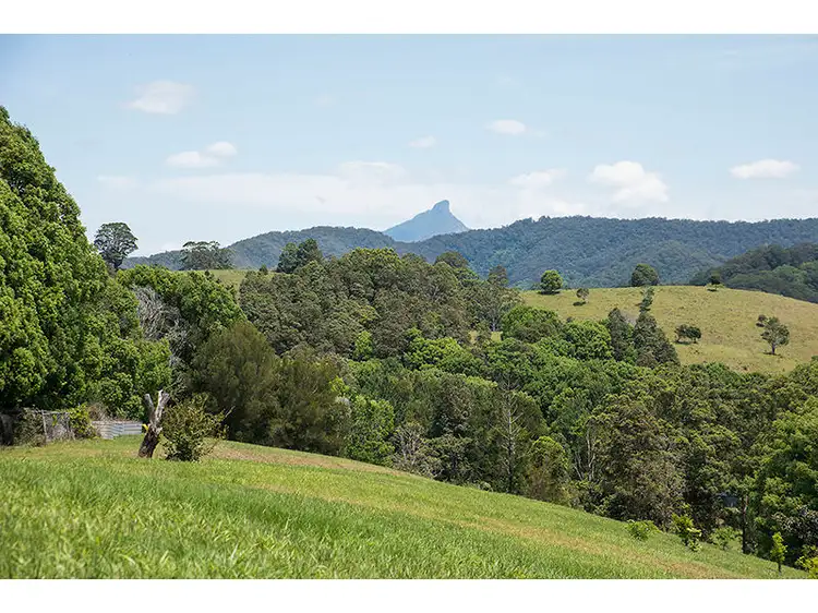 Second view of Homely rural property listing, 25 The Bloodwoods Road, Stokers Siding NSW 2484