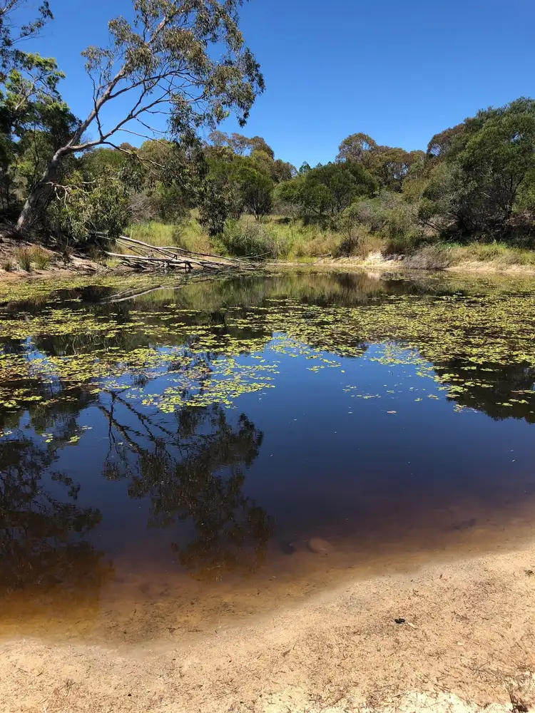 Fourth view of Homely rural property listing, 221 Church Rd, The Summit QLD 4377