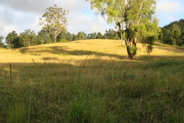 Fourth view of Homely house listing, 23 Butts Creek Rd, Taylors Arm NSW 2447