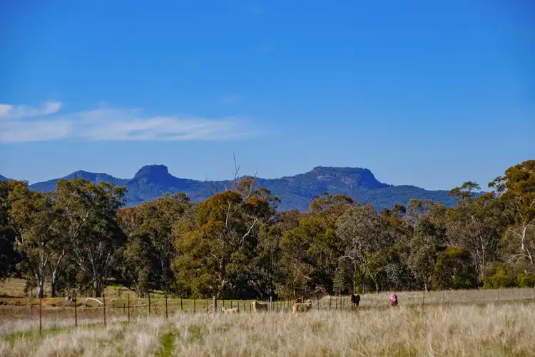 Second view of Homely rural property listing, 87 Margaret Street, Gerogery NSW 2642