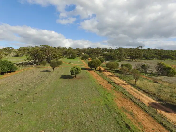 Sixth view of Homely house listing, 231 Julimar Road, Toodyay WA 6566