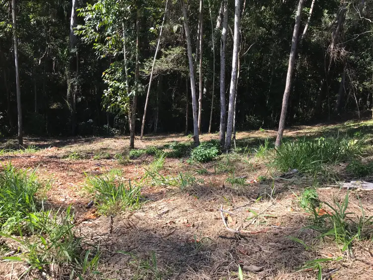 8 Birdwing Forest Pl, Buderim QLD 4556