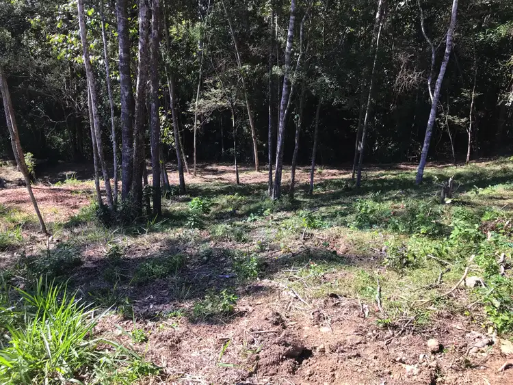 Third view of Homely land listing, 8 Birdwing Forest Pl, Buderim QLD 4556