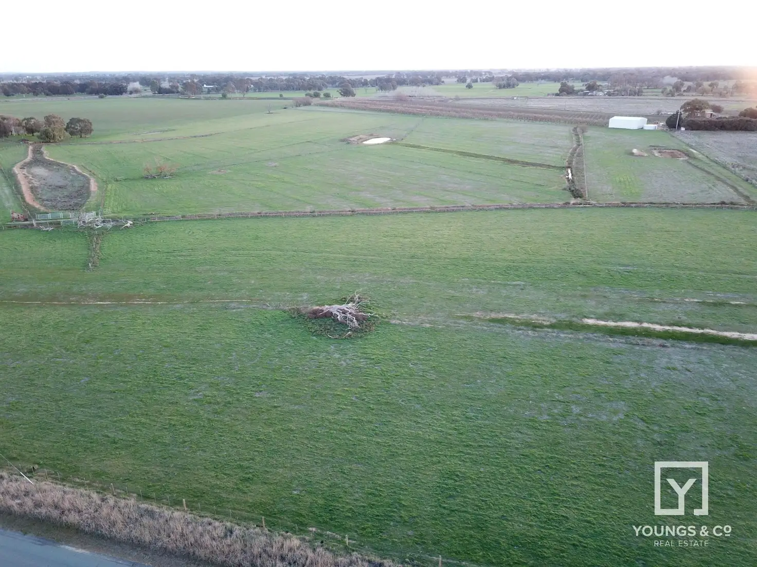Main view of Homely rural property listing, 630 Downer Road, Toolamba VIC 3614