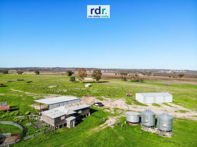 Main view of Homely rural property listing, 45 Willowie Road, Graman NSW 2360