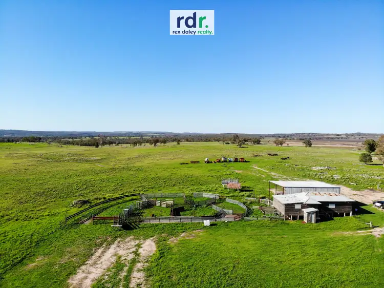 Sixth view of Homely rural property listing, 45 Willowie Road, Graman NSW 2360