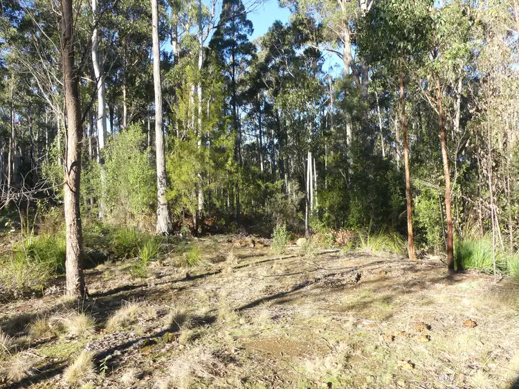 Second view of Homely land listing, 184 Christmas Hill Rd, Elizabeth Town TAS 7304