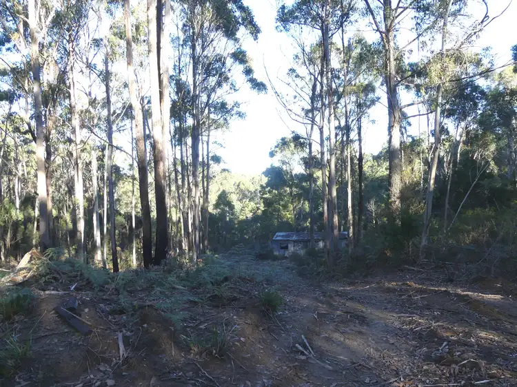 Fifth view of Homely land listing, 184 Christmas Hill Rd, Elizabeth Town TAS 7304