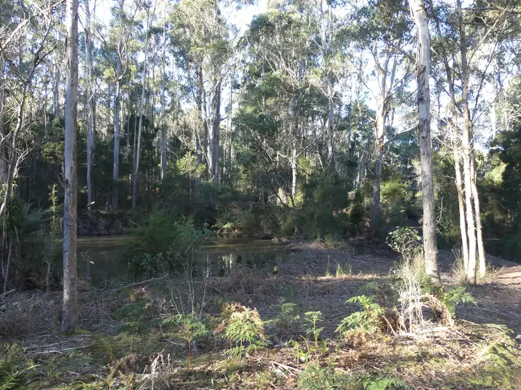 Sixth view of Homely land listing, 184 Christmas Hill Rd, Elizabeth Town TAS 7304