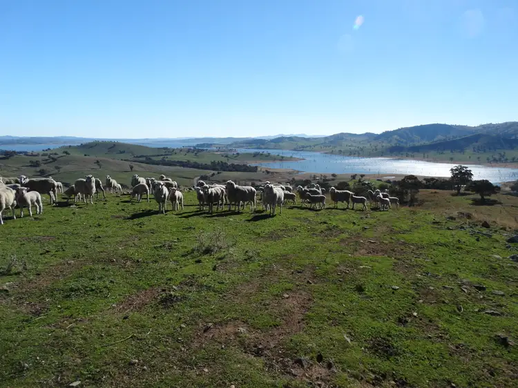 Third view of Homely rural property listing, Lot 3 Vincents Road, Talgarno VIC 3691