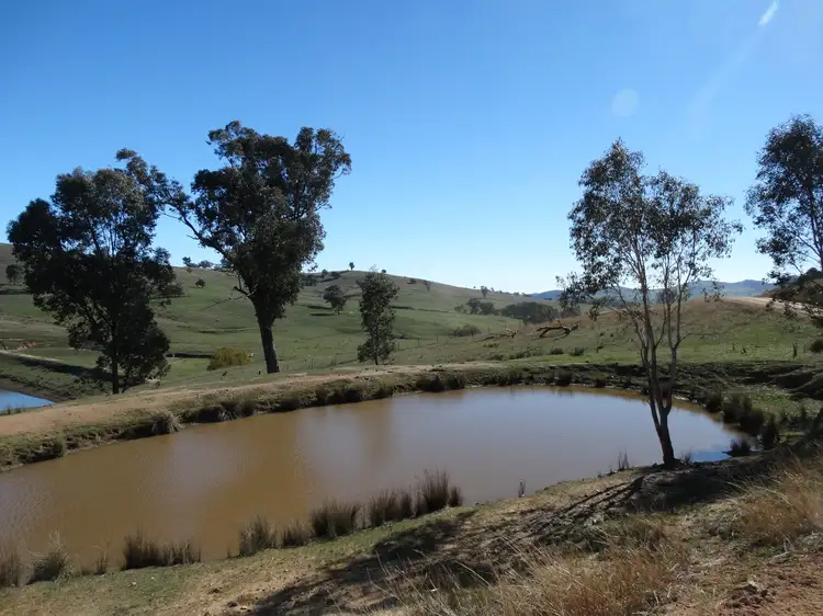 Fifth view of Homely rural property listing, Lot 3 Vincents Road, Talgarno VIC 3691