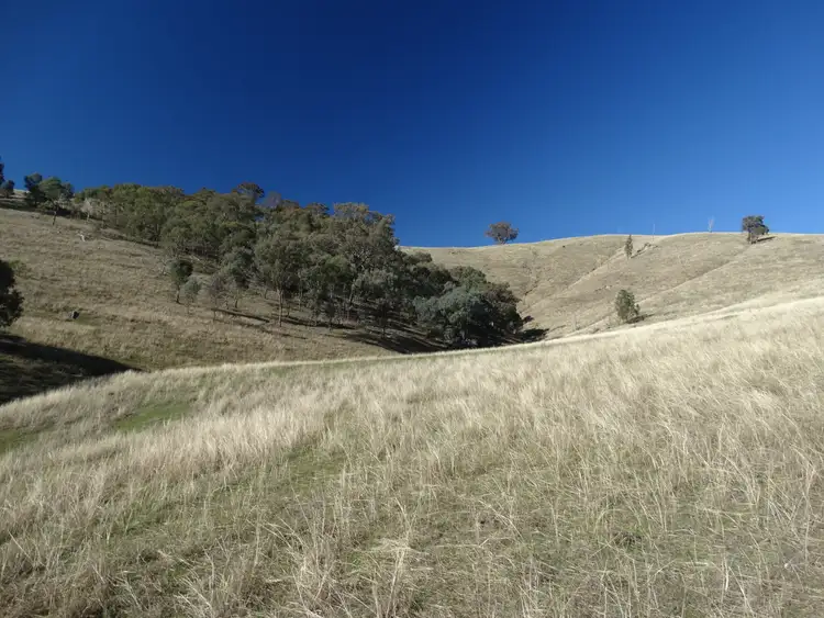 Sixth view of Homely rural property listing, Lot 3 Vincents Road, Talgarno VIC 3691
