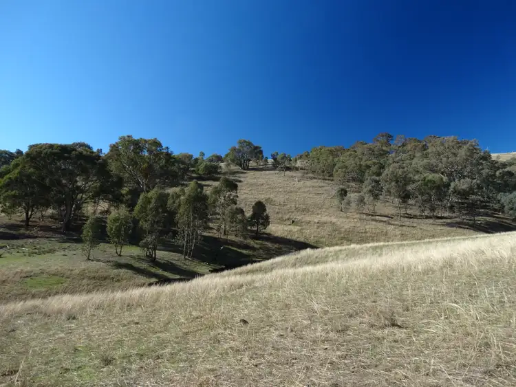 Seventh view of Homely rural property listing, Lot 3 Vincents Road, Talgarno VIC 3691