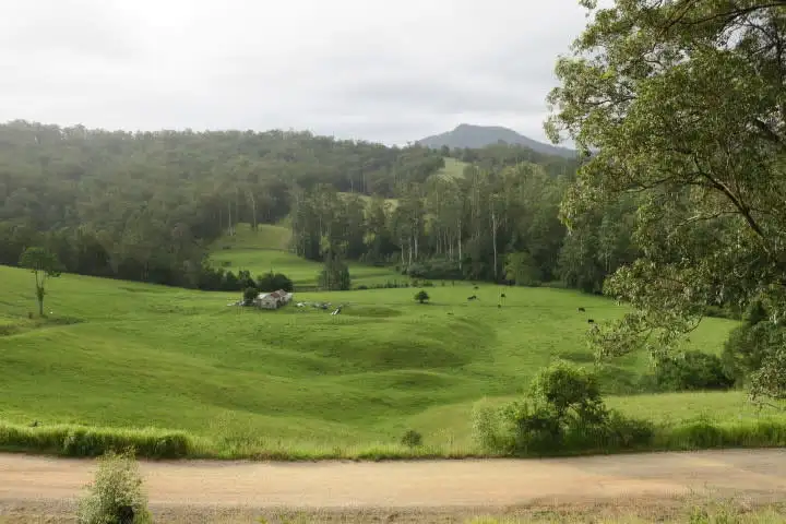 Main view of Homely house listing, 207 Upper Buckrabendinni Rd, Buckra Bendinni NSW 2449