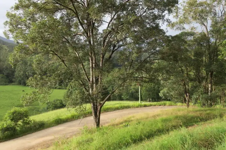 Second view of Homely house listing, 207 Upper Buckrabendinni Rd, Buckra Bendinni NSW 2449