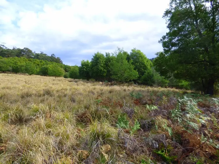 Fourth view of Homely rural property listing, Lot/1 Mine Road, Lochiel NSW 2549