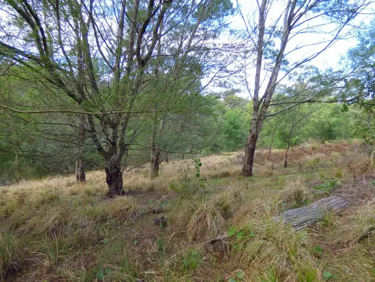Fifth view of Homely rural property listing, Lot/1 Mine Road, Lochiel NSW 2549