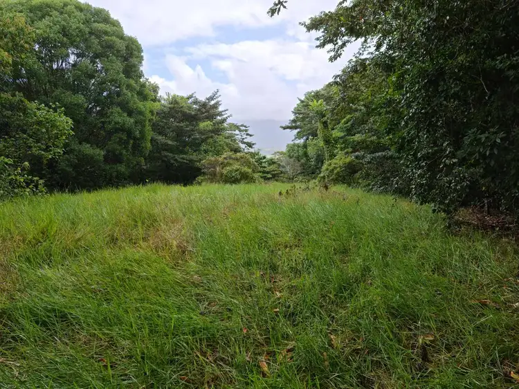 Third view of Homely land listing, Lot 2 Old Tully Road, Djarawong QLD 4854
