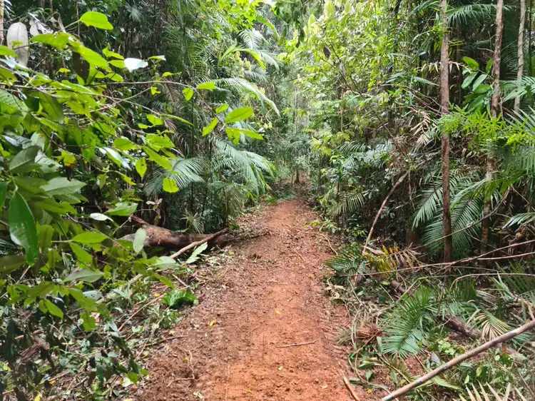 Fourth view of Homely land listing, Lot 2 Old Tully Road, Djarawong QLD 4854