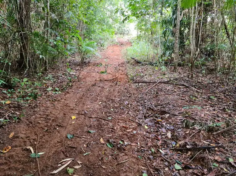 Fifth view of Homely land listing, Lot 2 Old Tully Road, Djarawong QLD 4854