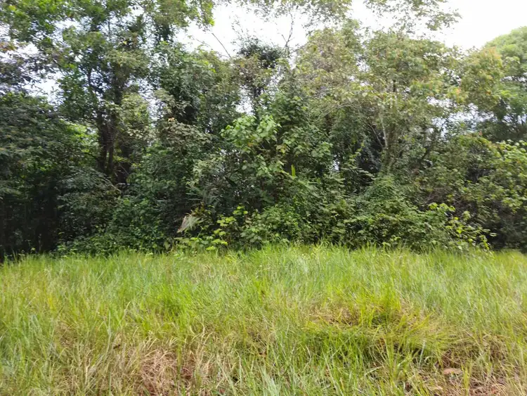 Sixth view of Homely land listing, Lot 2 Old Tully Road, Djarawong QLD 4854