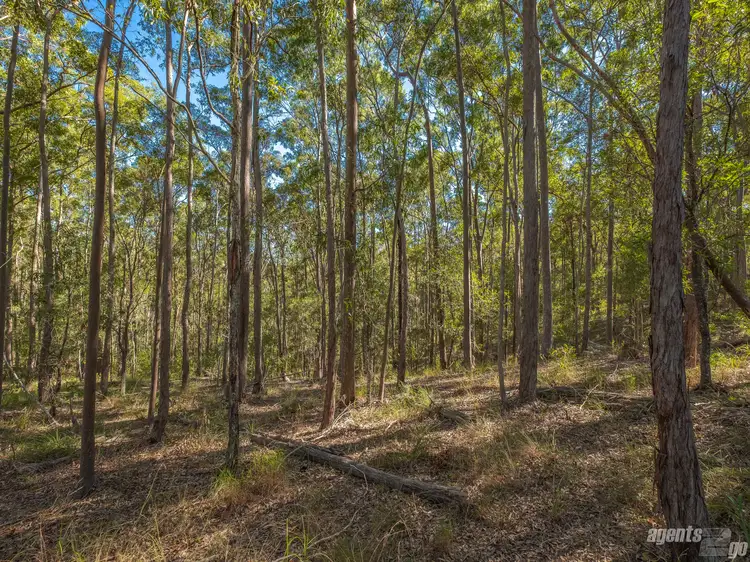 Sixth view of Homely land listing, Lot 17 Antimony, Neerdie QLD 4570