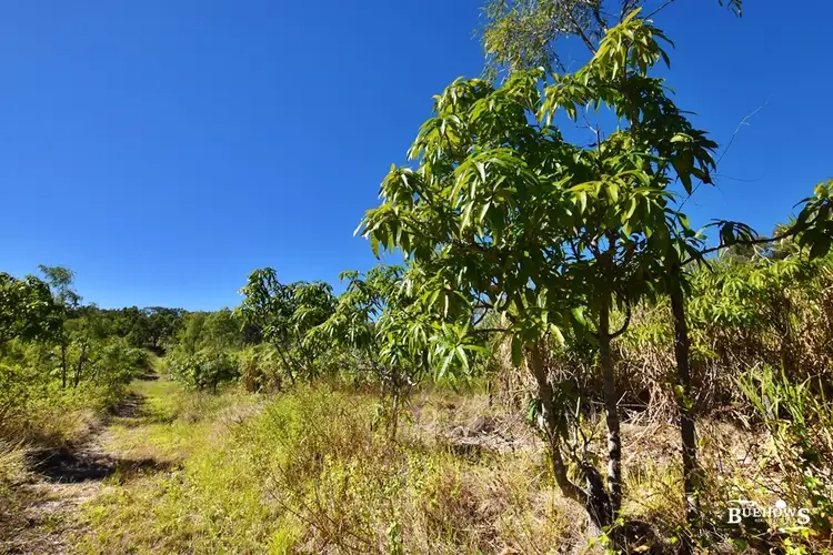 Fifth view of Homely land listing, Lot 10 Taranganba Road, Taranganba QLD 4703