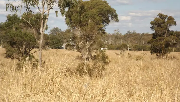 Third view of Homely rural property listing, 310 Ellangowan Rd, Casino NSW 2470