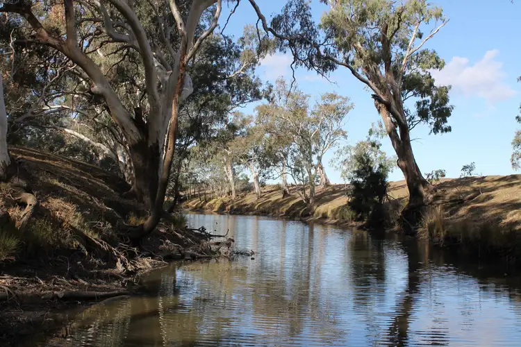 Lot 155 Cunningham Hwy, Warwick QLD 4370