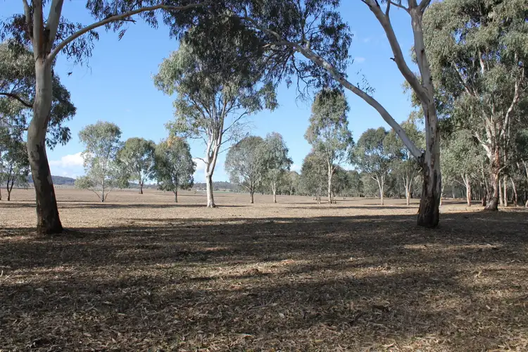 Third view of Homely land listing, Lot 155 Cunningham Hwy, Warwick QLD 4370