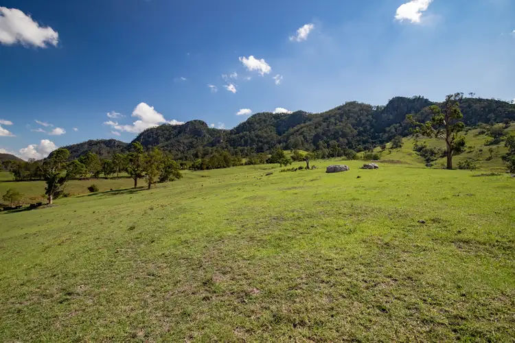 Seventh view of Homely rural property listing, 110 Bucketts Rd, Gloucester NSW 2422