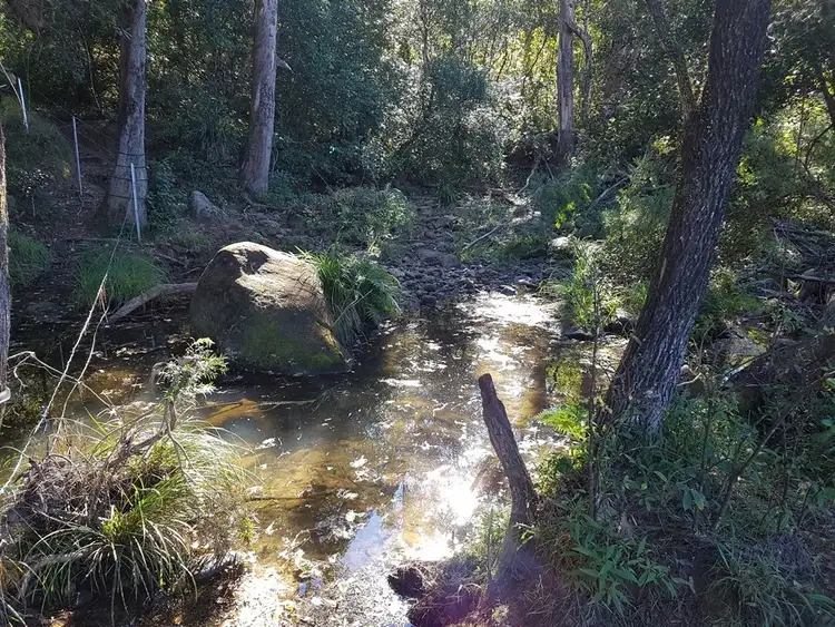 LOT 10 & 11 Iron Pot Creek Road, Kyogle NSW 2474