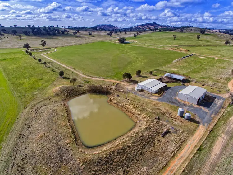 99 Kleemans Rd, Henty NSW 2658