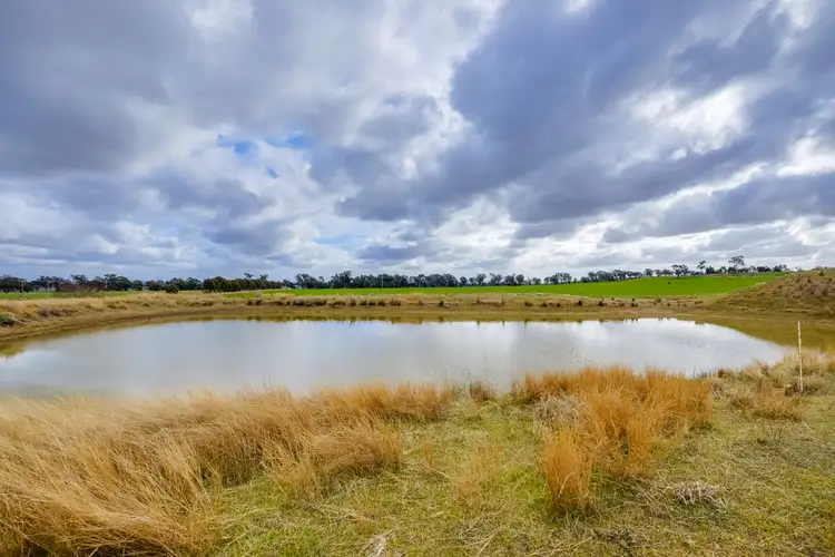 Third view of Homely rural property listing, 99 Kleemans Rd, Henty NSW 2658