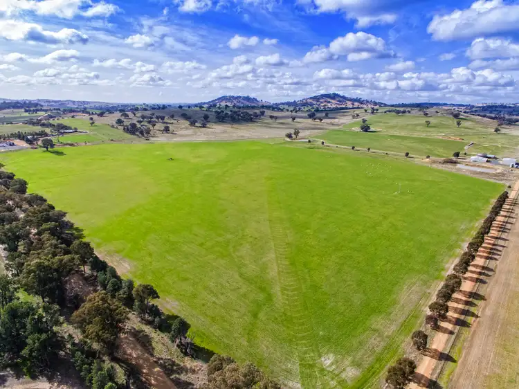 Fifth view of Homely rural property listing, 99 Kleemans Rd, Henty NSW 2658