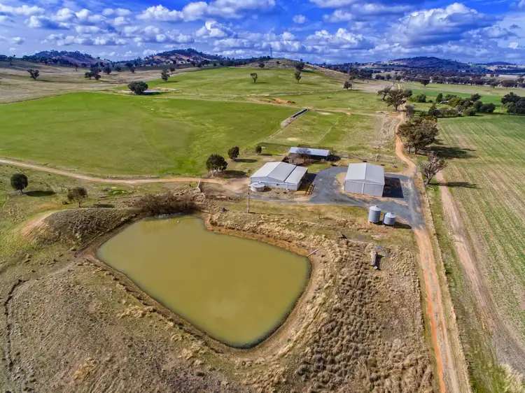 Sixth view of Homely rural property listing, 99 Kleemans Rd, Henty NSW 2658