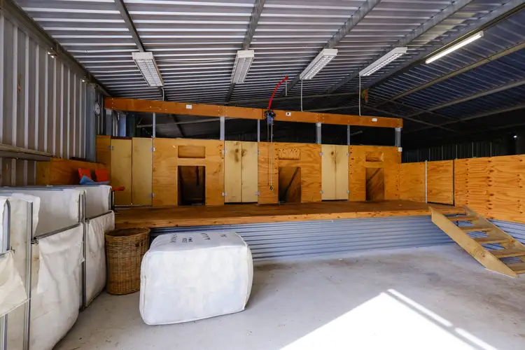 Seventh view of Homely rural property listing, 99 Kleemans Rd, Henty NSW 2658