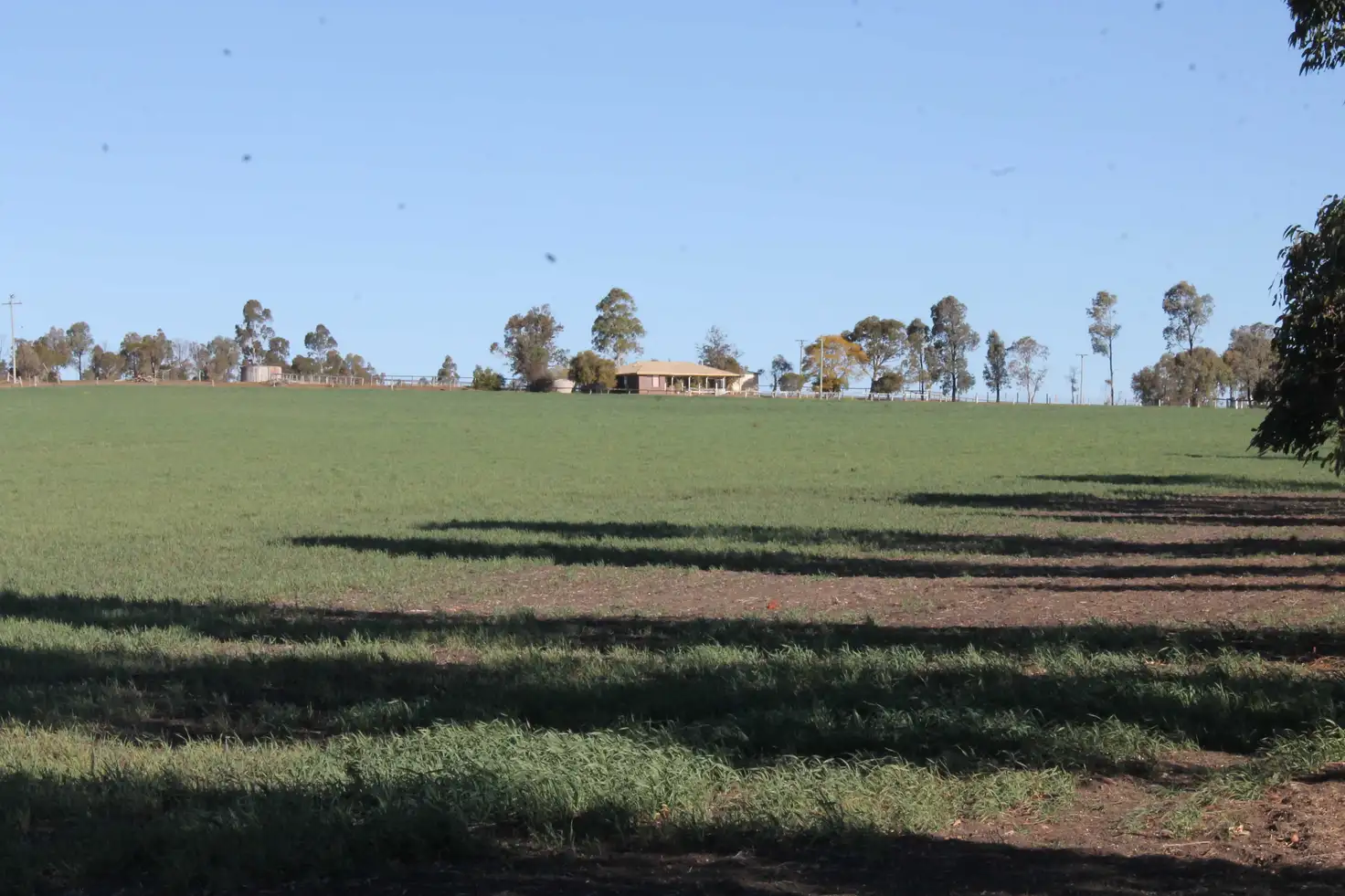 Main view of Homely rural property listing, 172 Freestone Creek Rd, Warwick QLD 4370