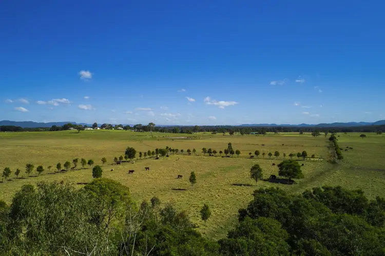 Seventh view of Homely rural property listing, 820 Rawdon Island Rd, Rawdon Island NSW 2446
