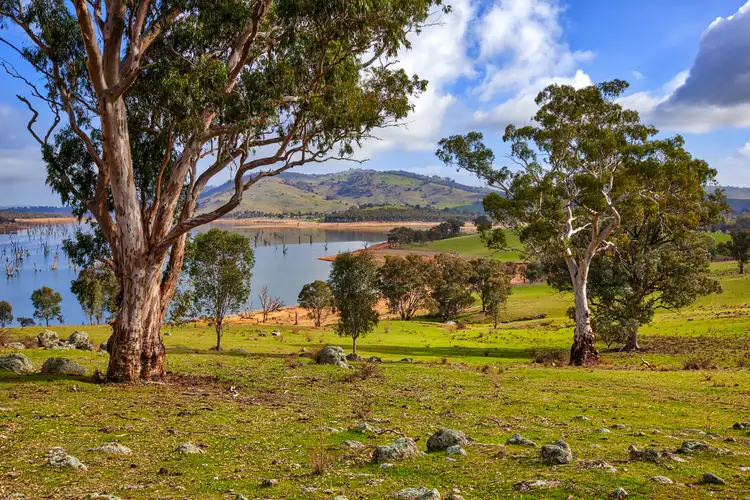 "Boxbourne" River Road, Wymah NSW 2640