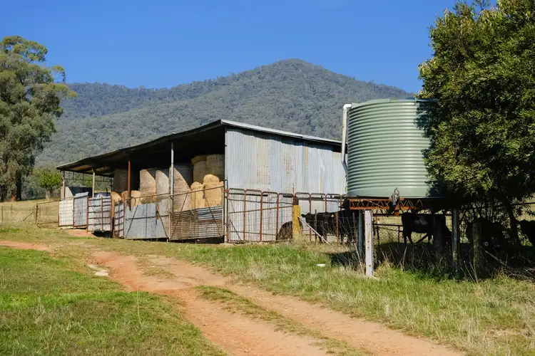 Third view of Homely rural property listing, 510 Rogers Lane, Dederang VIC 3691
