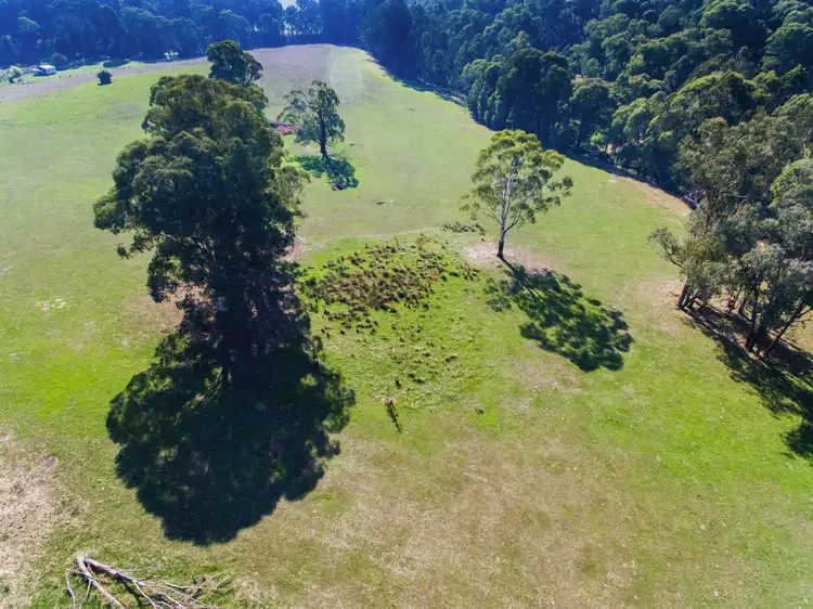 Sixth view of Homely rural property listing, 510 Rogers Lane, Dederang VIC 3691
