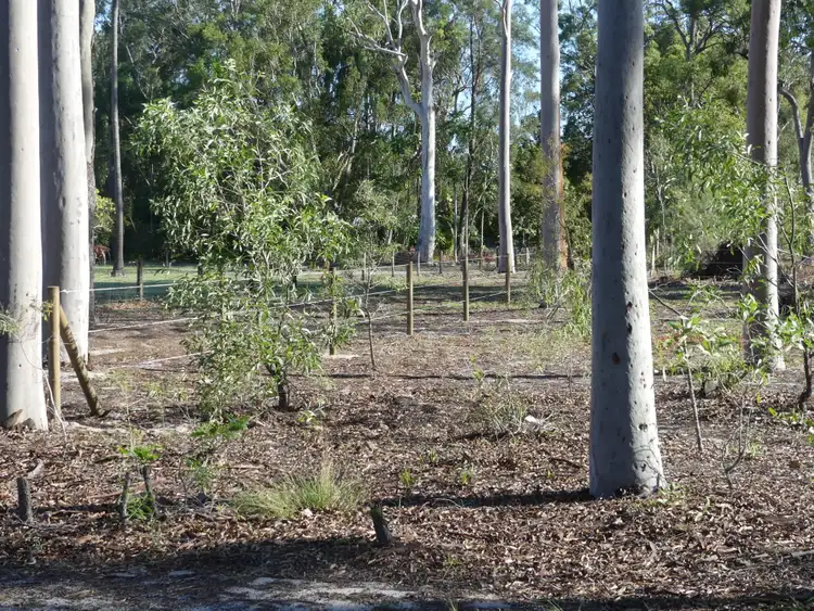 Second view of Homely land listing, 7 Lorikeet St, Gooburrum QLD 4670