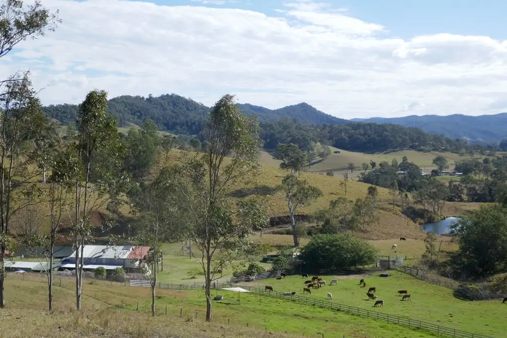 Main view of Homely rural property listing, 40 Olympian Rd, Kyogle NSW 2474