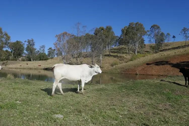 Fifth view of Homely rural property listing, 40 Olympian Rd, Kyogle NSW 2474