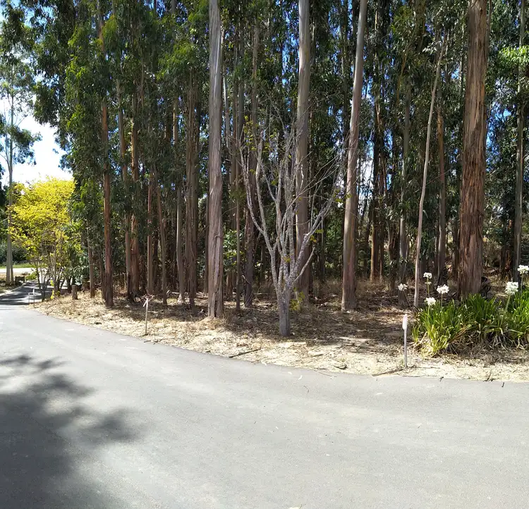 Third view of Homely land listing, 12 Searle Street St, Macclesfield SA 5153