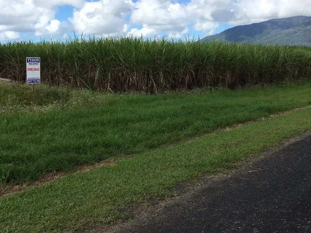 Main view of Homely rural property listing, 101 - 107 Midgenoo Feluga Rd St, Feluga QLD 4854